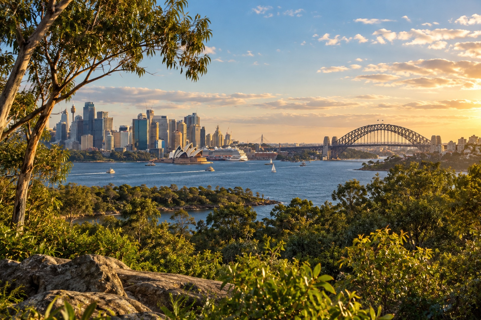 Sydney Harbour and city skyline viewed through bushland from a harbourside zoo hillside at golden hour